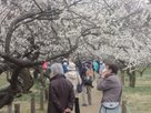 八王子同友会・長寿の森