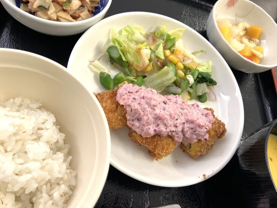 有料老人ホーム 桜寿のさと