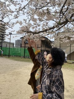 お花見ドライブに行ってきました🌸