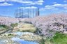 桜寿のさと伊都