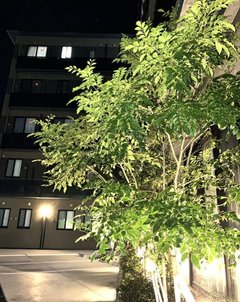 昼はにぎやかに、夜はしっとりと。