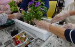 🌿 夏の鉢植えづくりをしました