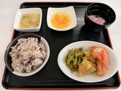 🌸新年度のはじまりを、春の彩りととも