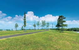 フラットな街路に、緑と風と安らぎがつながる開放的な街。