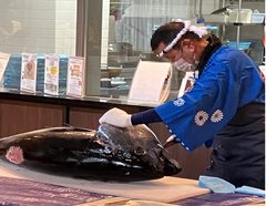 「まぐろ解体ショー!」