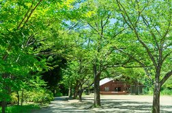 時にアクティブに、時に穏やかに。多彩な時間を楽しめる。