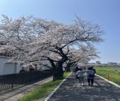 「志木市ノルディックウォーク全国大会!」