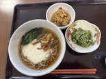 【水戸市】菜の花の家水戸|8月11日山の日の昼食は「山菜とろろそば」!