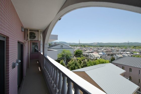 しあわせの菜の花畑 ・神戸菖蒲が丘