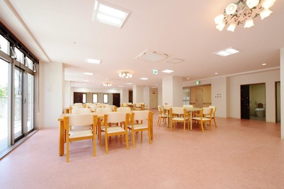 しあわせの菜の花畑 ・神戸菖蒲が丘