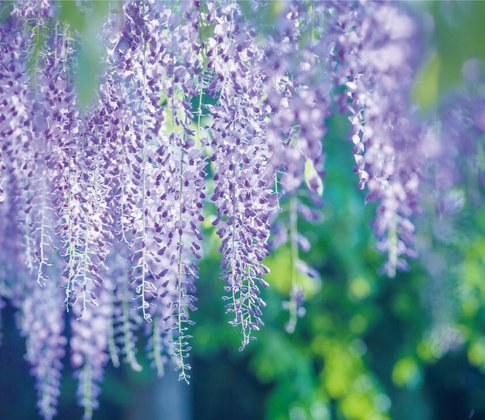 ウィステリア小樽稲穂