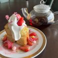春の茶話会