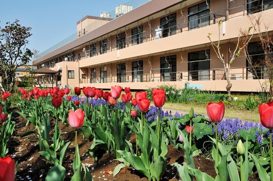 富士白苑大磯コーポ