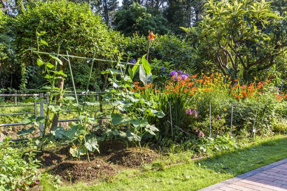 富士白苑大磯コーポ