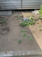 花壇