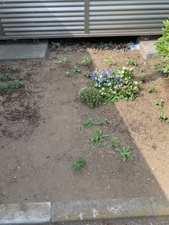 花壇