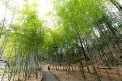 新芦屋中央公園 徒歩4分