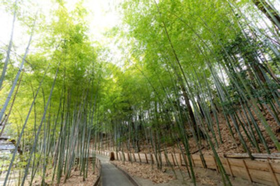 吹田千里丘 中楽坊