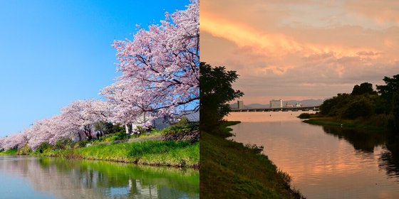 おおみ路 中楽坊