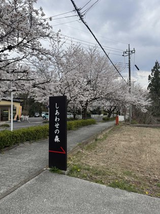 しあわせの森