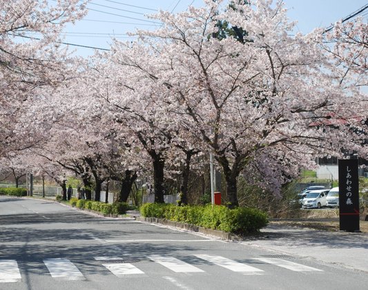 しあわせの森