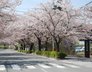 しあわせの森