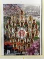 今年は御開帳の年です!!