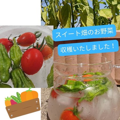 スイートガーデン枚方津田