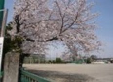 子供達の声響く芦子小(目前)