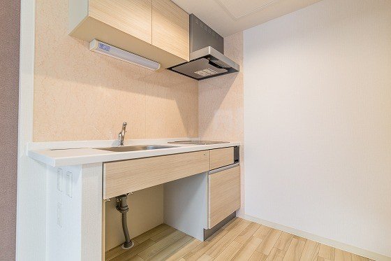 ロータス山鼻邸