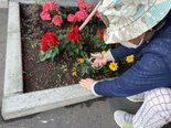 入居者様との花壇のお手入れ🌷