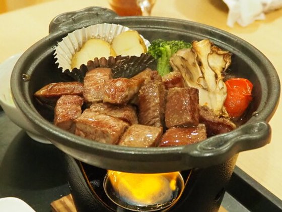 ペット共生型有料老人ホーム ペピイ・ハッピープレイスTAMATSUKURI