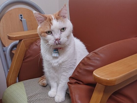 ペット共生型有料老人ホーム ペピイ・ハッピープレイスTAMATSUKURI