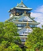 お散歩コース大阪城。桜や梅など、四季折々の花も魅力。