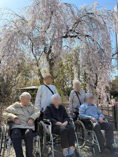 桜鑑賞ドライブ