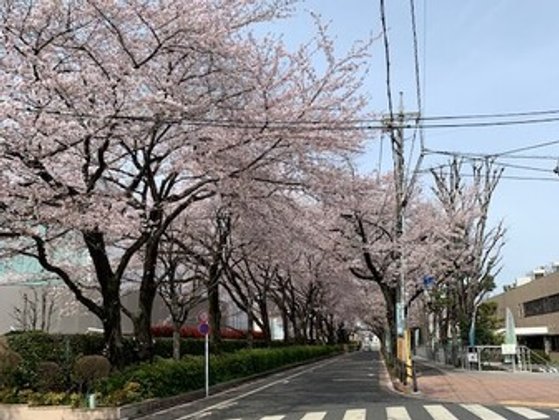 敬老園ロイヤルヴィラ東京武蔵野