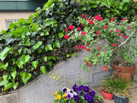 敬老園ロイヤルヴィラ東京武蔵野