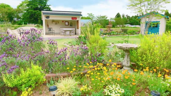 ここあんすの家 くりもと