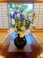 施設のお花が新しくなりました💐