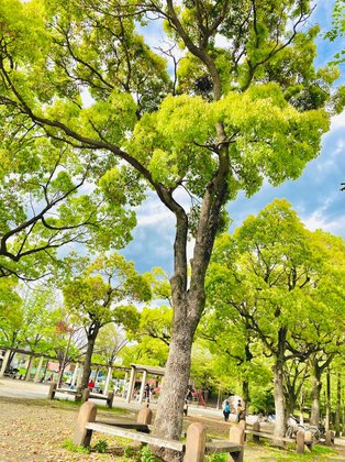 すいとぴー本牧三溪園