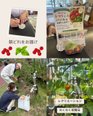 「『どうぞ!』の笑顔で届ける、自慢の朝採れ野菜」