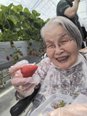 お腹も心も大満足!春の日帰り旅行〜いちご狩り&お寿司ツアー〜