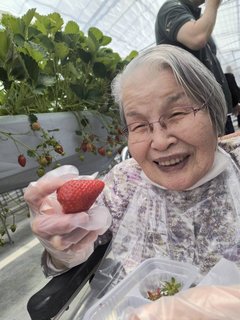 お腹も心も大満足!春の日帰り旅行〜いちご狩り&お寿司ツアー〜