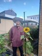 愛情たっぷりに育てたひまわりが大輪の花を咲かせました🌻✨