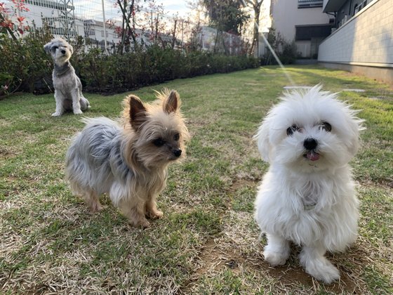 ハートランド・エミシア久我山