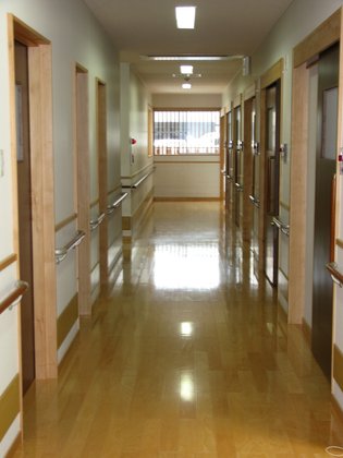 ラフェスタ紀美野