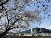 特別養護老人ホームセラヴィ