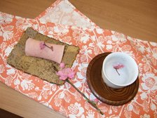 さくらの素敵な季節に