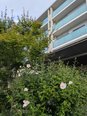 【お盆も通常通り営業中】夏の施設見学・入居相談受付中です