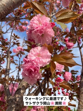 カルナス城野駅前